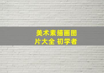 美术素描画图片大全 初学者